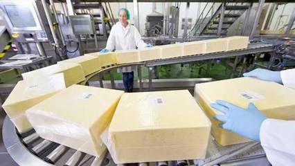 恒天然斥資2000萬擴建工廠，全力擁抱中國奶酪市場新浪潮